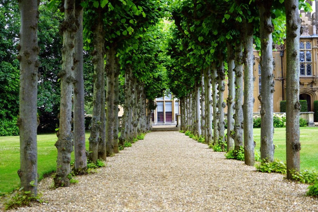 Photo by Mike from Pexels